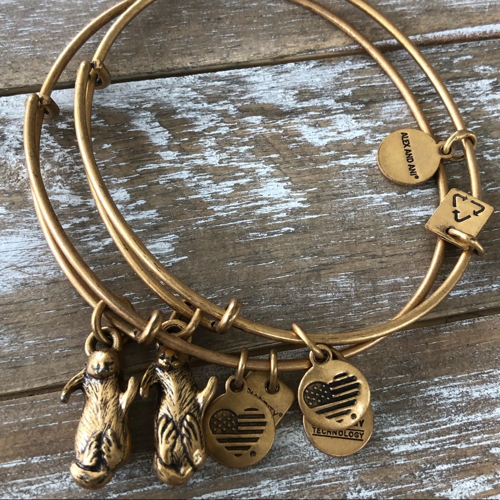 Alex & Ani ... side by side set